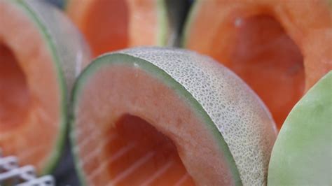 Montreal man seeks to launch class action over cantaloupe salmonella outbreak